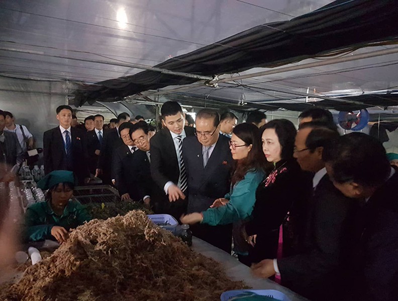 Đoàn đại biểu cấp cao Triều Tiên thăm mô hình trồng hoa lan tại Đan Phượng, Hà Nội